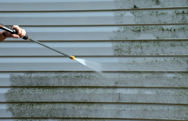 Best Sidewalk and Walkway Cleaning  in Agua Dulce, TX